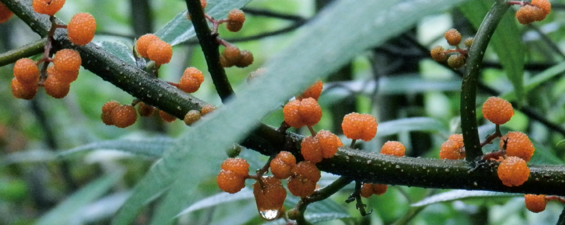 品牌VI設(shè)計，VI設(shè)計，企業(yè)VI設(shè)計公司，微型VI設(shè)計項目