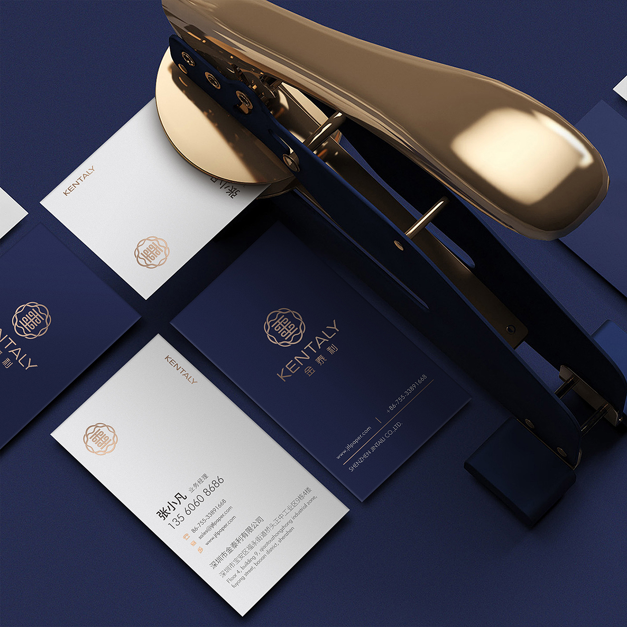 中山品牌設(shè)計公司有哪些{標(biāo)派視覺}