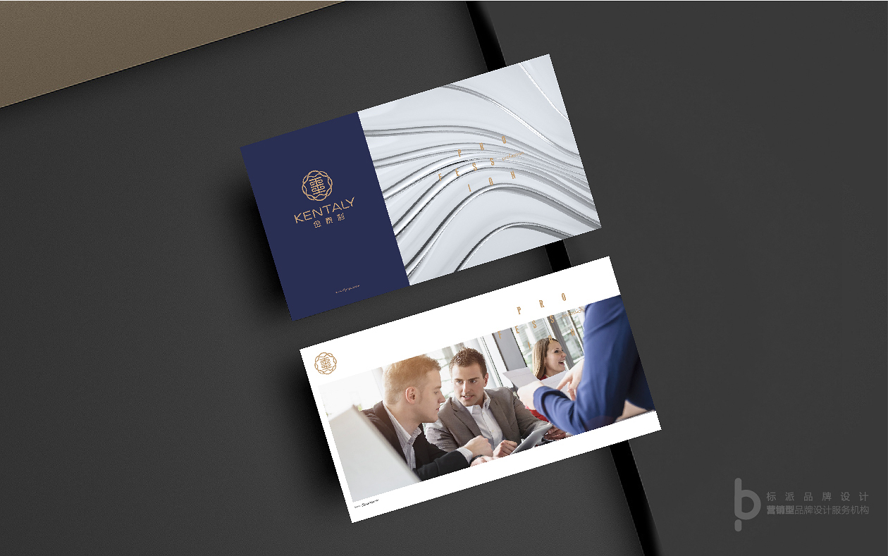 深圳vi設(shè)計(jì)公司,企業(yè)形象設(shè)計(jì),標(biāo)志logo,品牌策劃,標(biāo)派視覺品牌設(shè)計(jì)公司