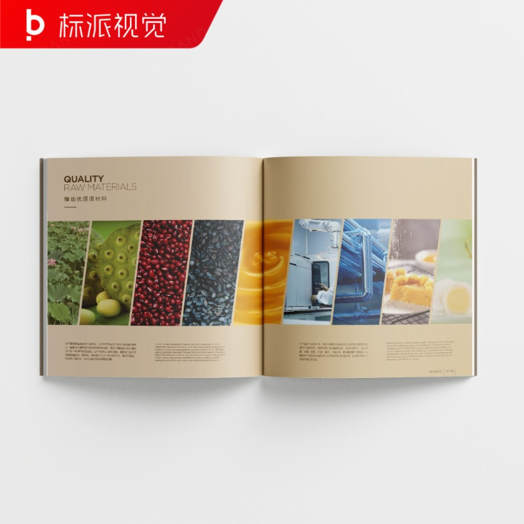 照明畫(huà)冊(cè)設(shè)計(jì)，智能照明品牌宣傳設(shè)計(jì)公司{標(biāo)派視覺(jué)微型VI設(shè)計(jì)}